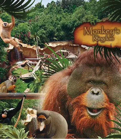 Exotic animals and tropical trails at Jungle Park in Tenerife.