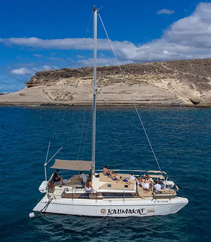 The Kalima Kat catamaran sailing off the coast of Tenerife on a whale and dolphin cruise.