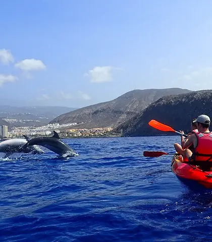 Kayakers paddling beneath the cliffs on a kayak and snorkel tour in Tenerife.