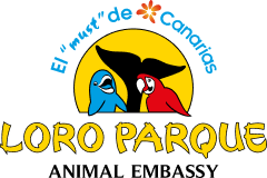 Best Deals Tenerife logo