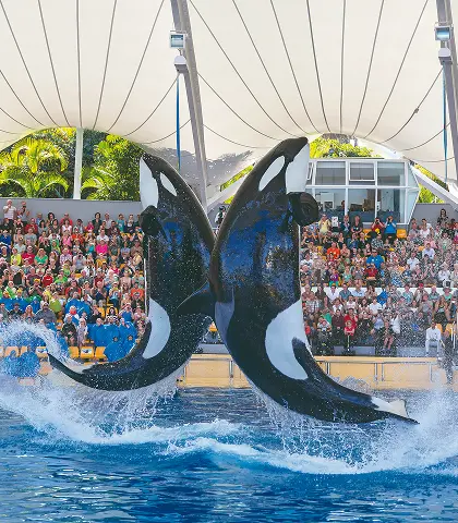 Animals and habitats at Loro Parque in Puerto de la Cruz, Tenerife.
