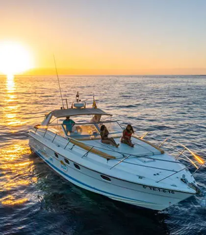 The Skyline Cruiser luxury boat cruising the coast of Tenerife on a whale and dolphin watching trip.
