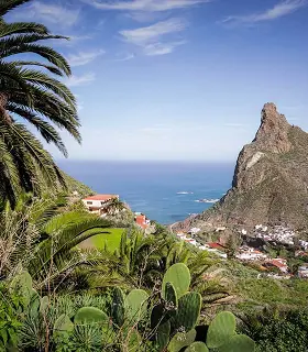 Volcanic landscapes and historic villages on a Teide, Icod, Garachico and Masca island tour in Tenerife.