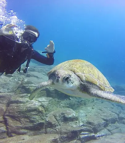 A beginner diver exploring the underwater world on a Try Dive experience in Tenerife.