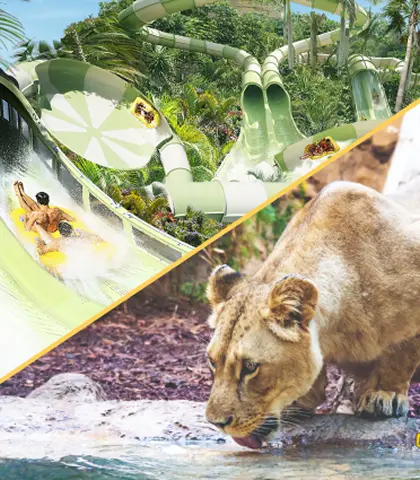The Siam Park and Loro Parque twin ticket, two of Tenerife's top attractions.